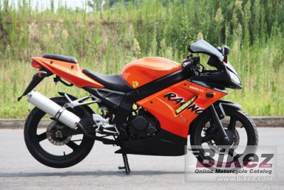 2011 Shineray XY-250 5A photo